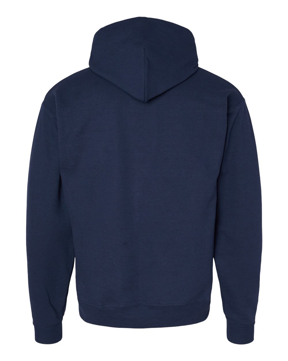 P170 Hanes EcoSmart® Hooded Sweatshirt - Back Image
