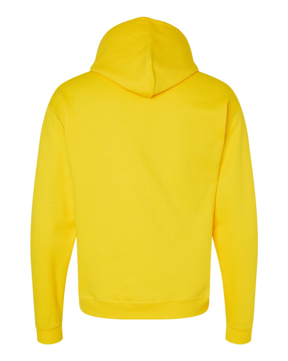 P170 Hanes EcoSmart® Hooded Sweatshirt - Back Image