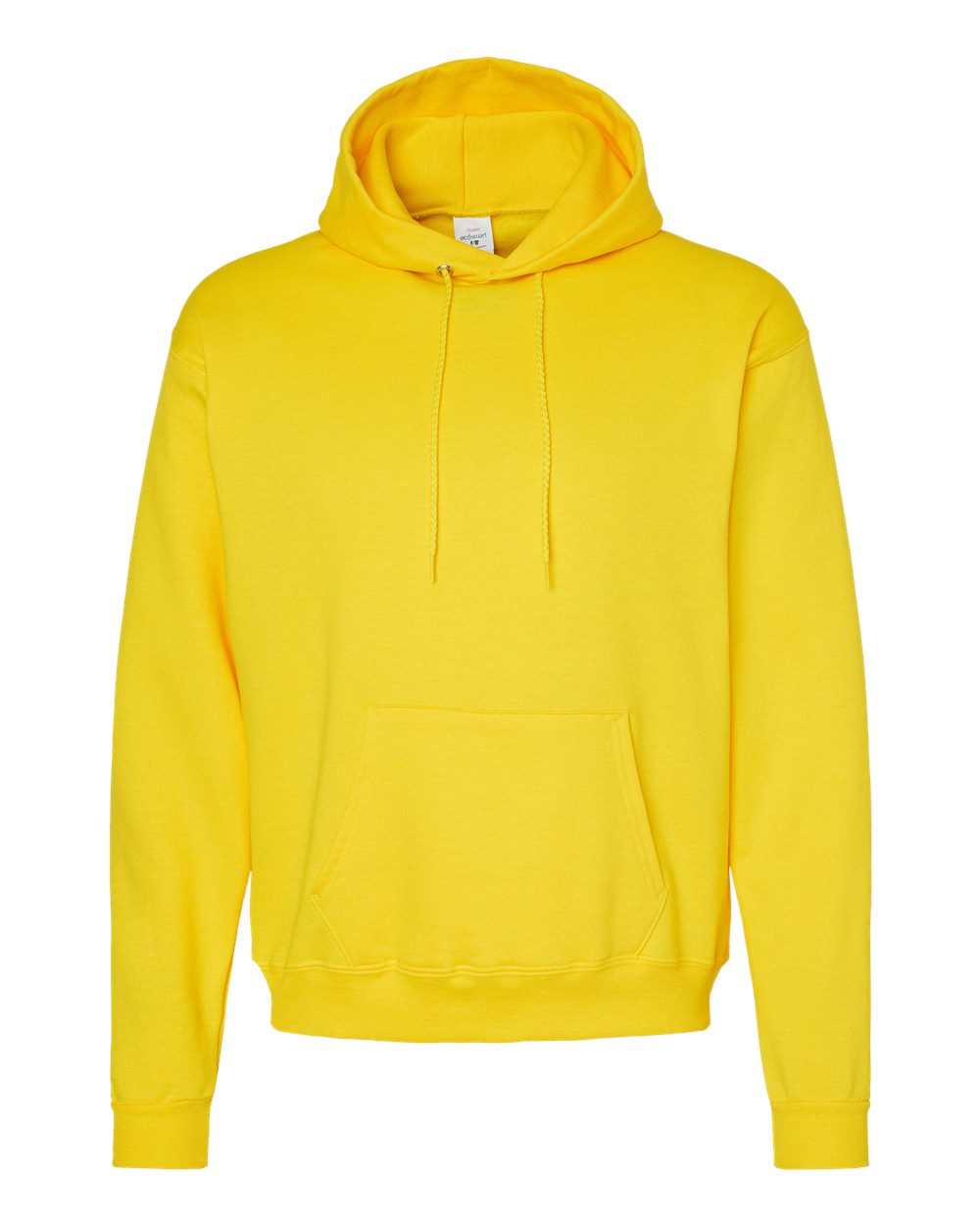 P170 Hanes EcoSmart® Hooded Sweatshirt