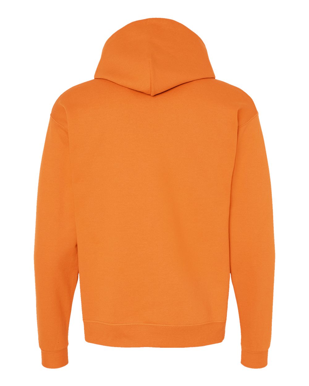 P170 Hanes EcoSmart® Hooded Sweatshirt - Back Image