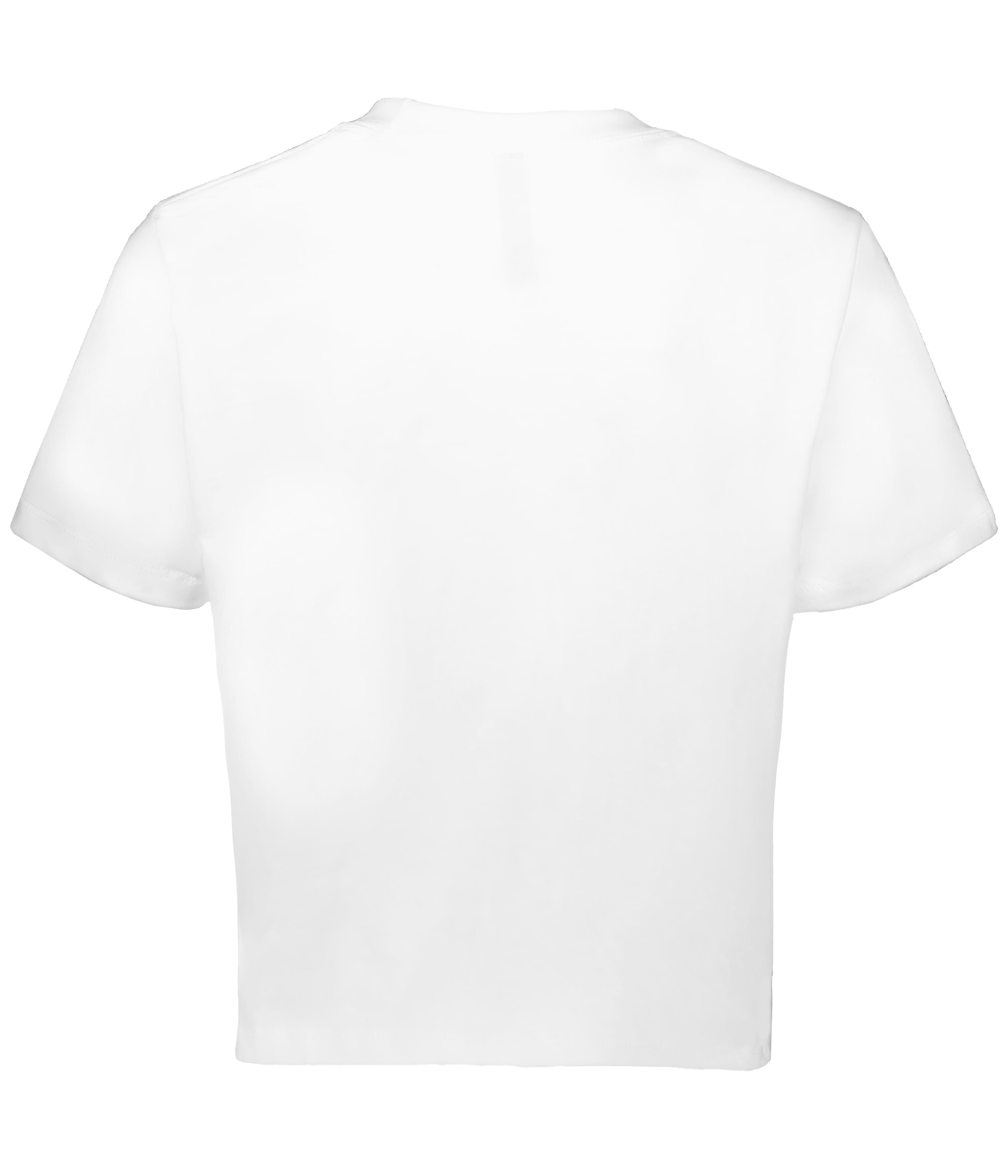 226382 HOLLOWAY LADIES SIDNEY HEAVYWEIGHT BOXY TEE - Back Image