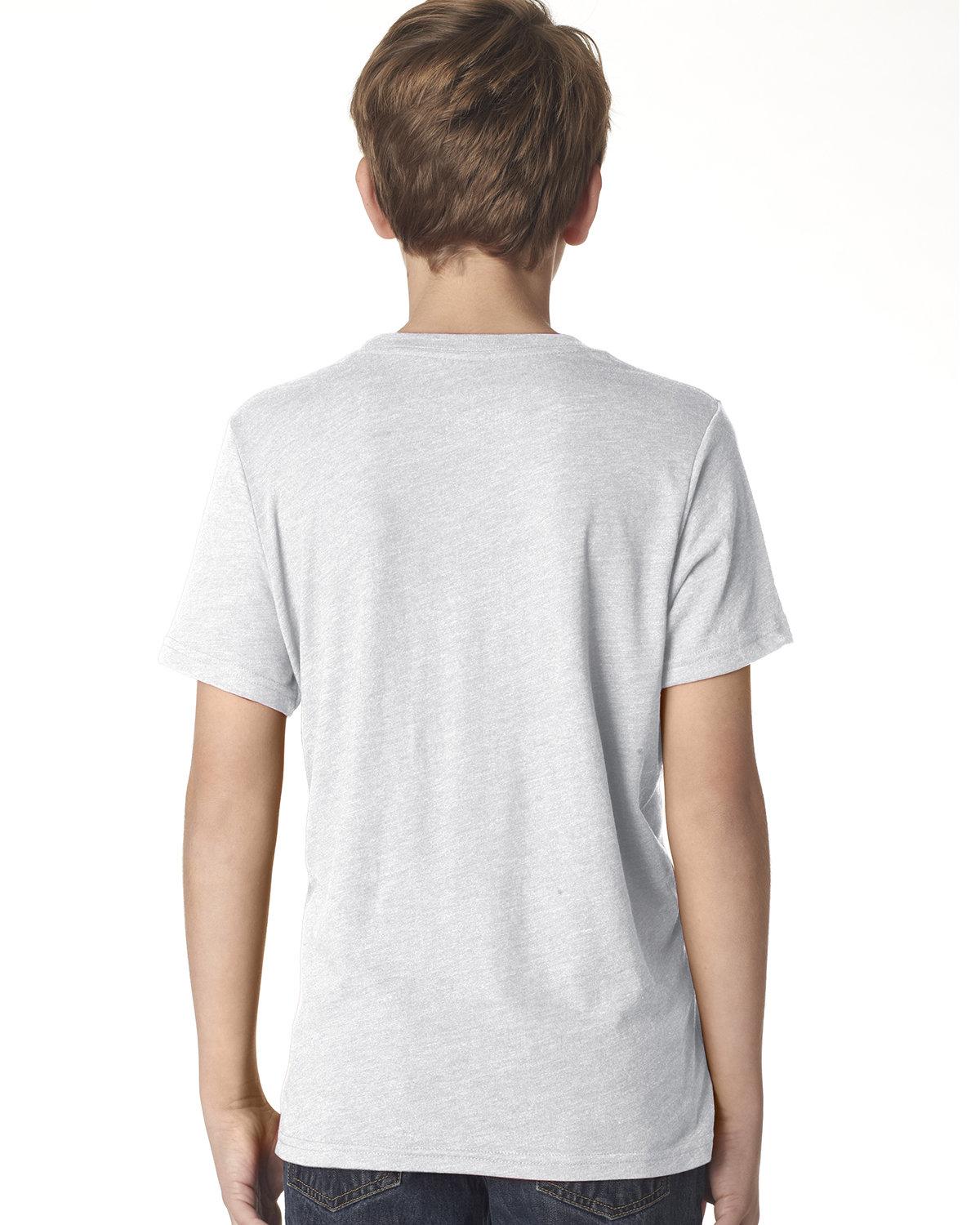 N6310 Next Level Youth Triblend Crew - Back Image