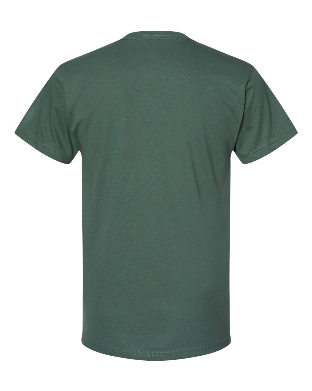 4600 Next Level Unisex Eco Heavyweight T-Shirt - Back Image