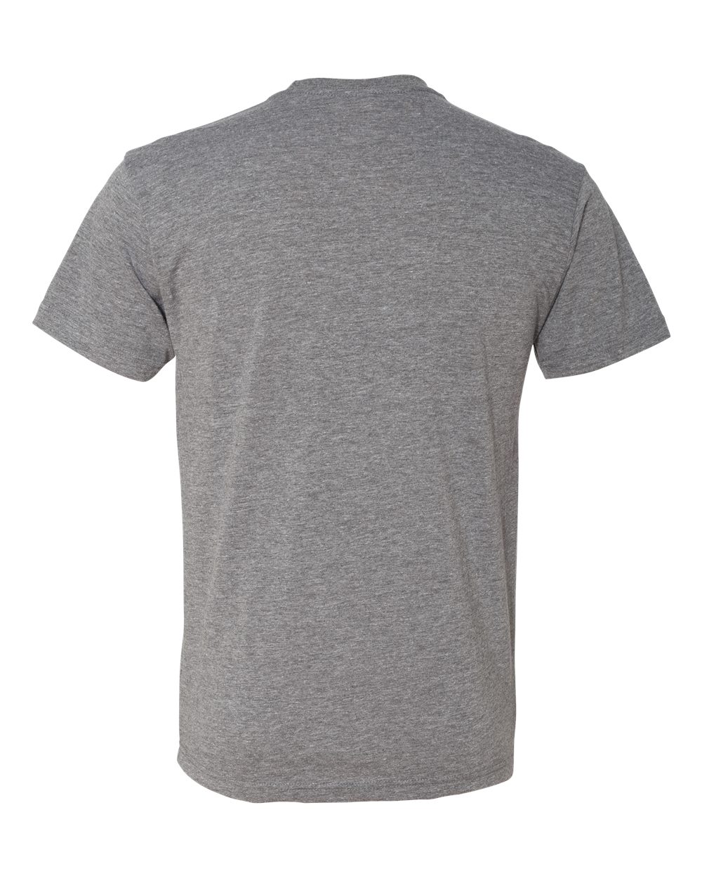 6010 Next Level Unisex Triblend T-Shirt - Back Image