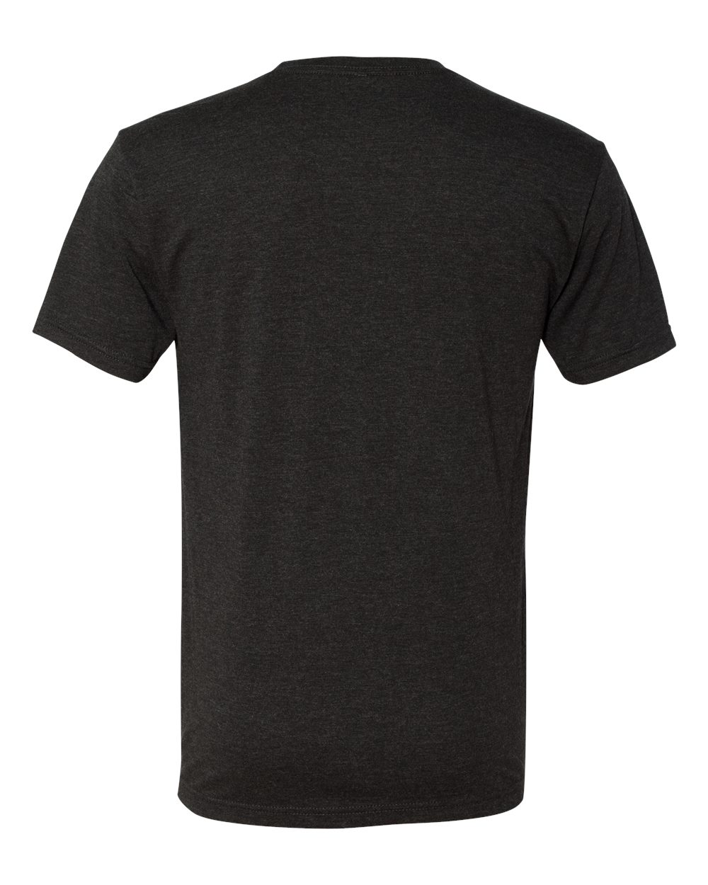 6010 Next Level Unisex Triblend T-Shirt - Back Image