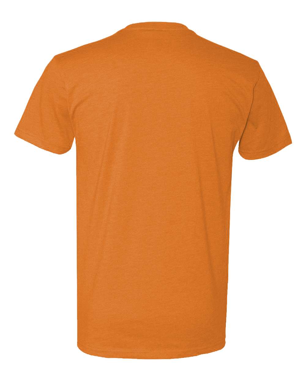 6210 Next Level Apparel Unisex CVC T-Shirt - Back Image