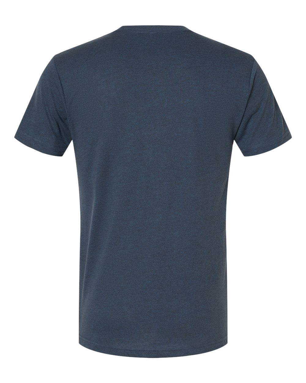 6010 Next Level Unisex Triblend T-Shirt - Back Image