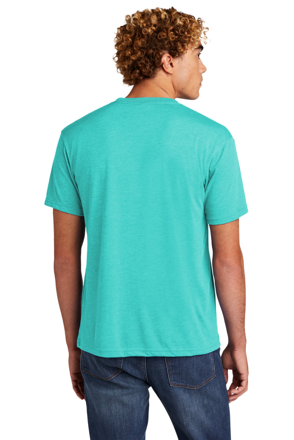 NL6010 Next Level Unisex Tri-Blend Tee - Back Image