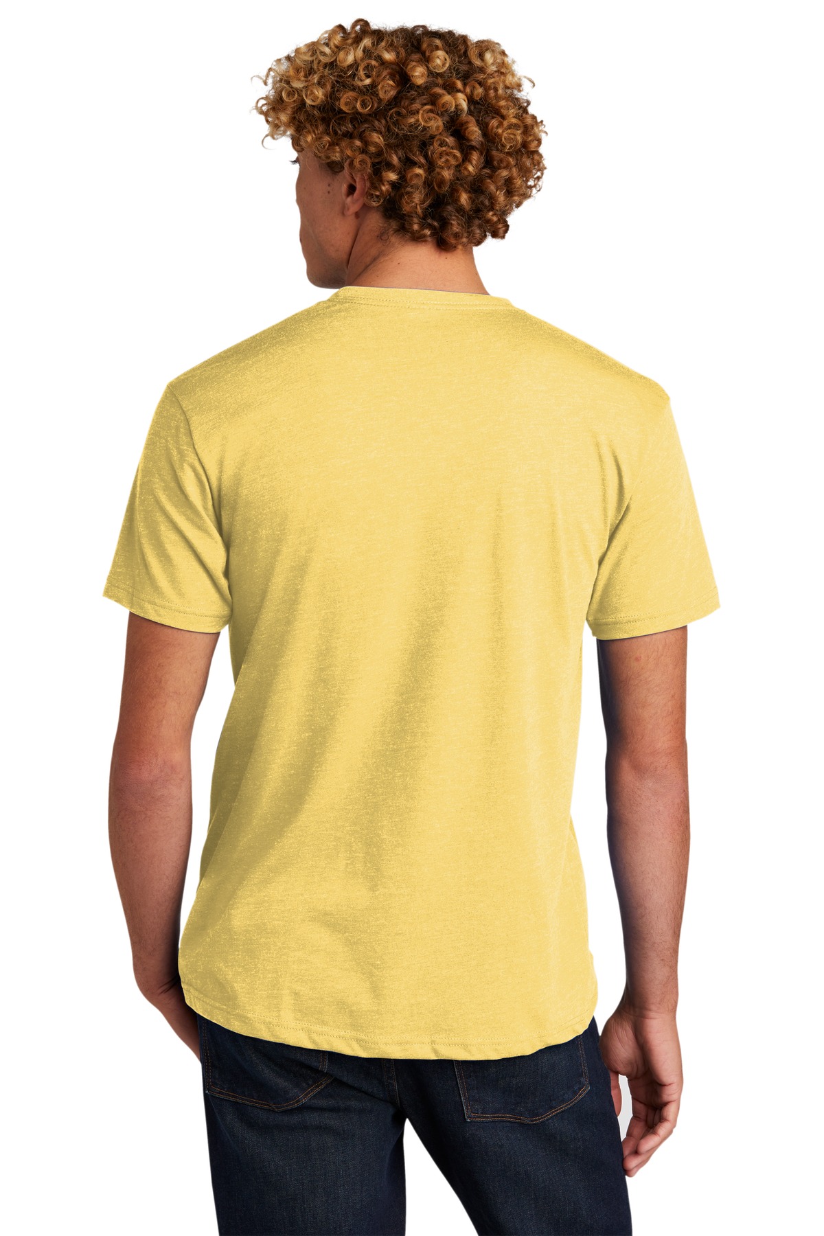 NL6210 Next Level Unisex CVC Tee - Back Image
