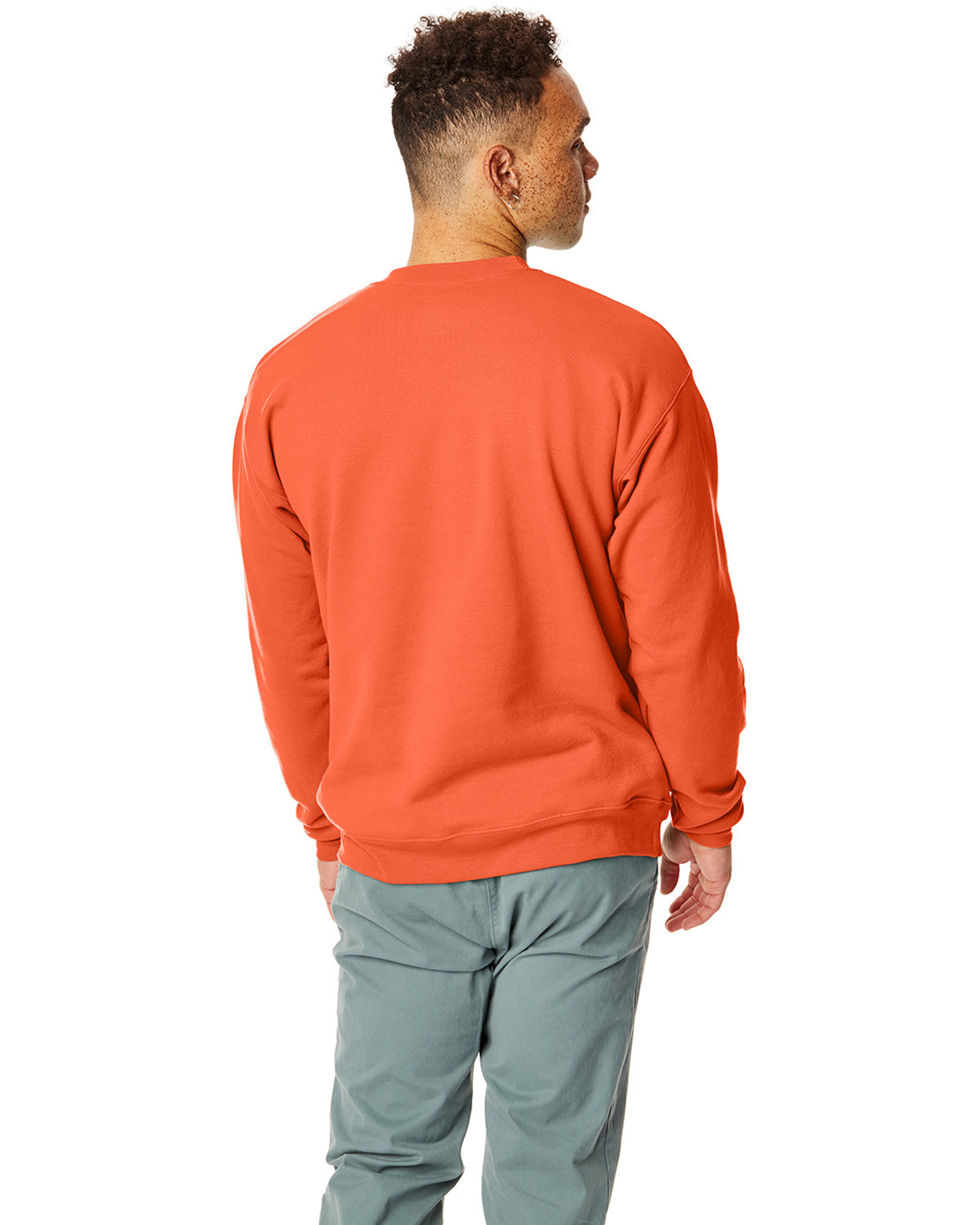 P1607 Hanes Unisex Ecosmart 50/50 Crewneck Sweatshirt - Back Image