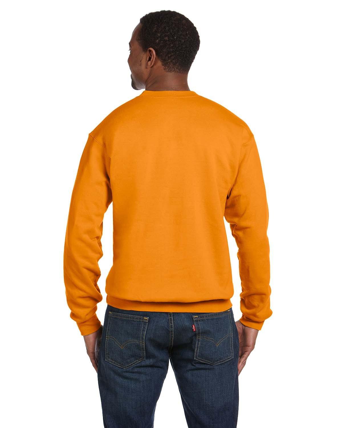 P1607 Hanes Unisex Ecosmart 50/50 Crewneck Sweatshirt - Back Image