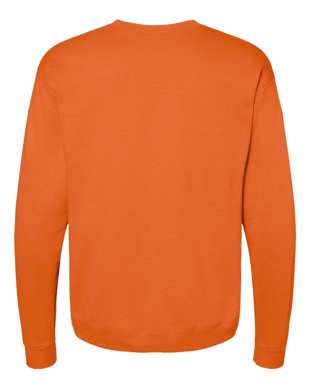 P160 Hanes - EcoSmart Crewneck Sweatshirt - Back Image