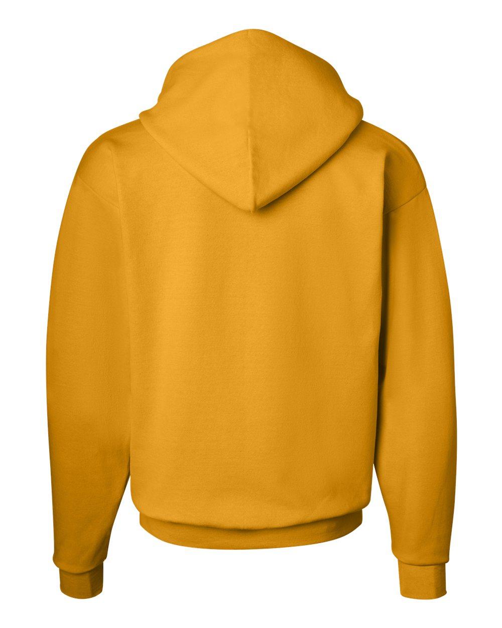 P170 Hanes EcoSmart® Hooded Sweatshirt - Back Image