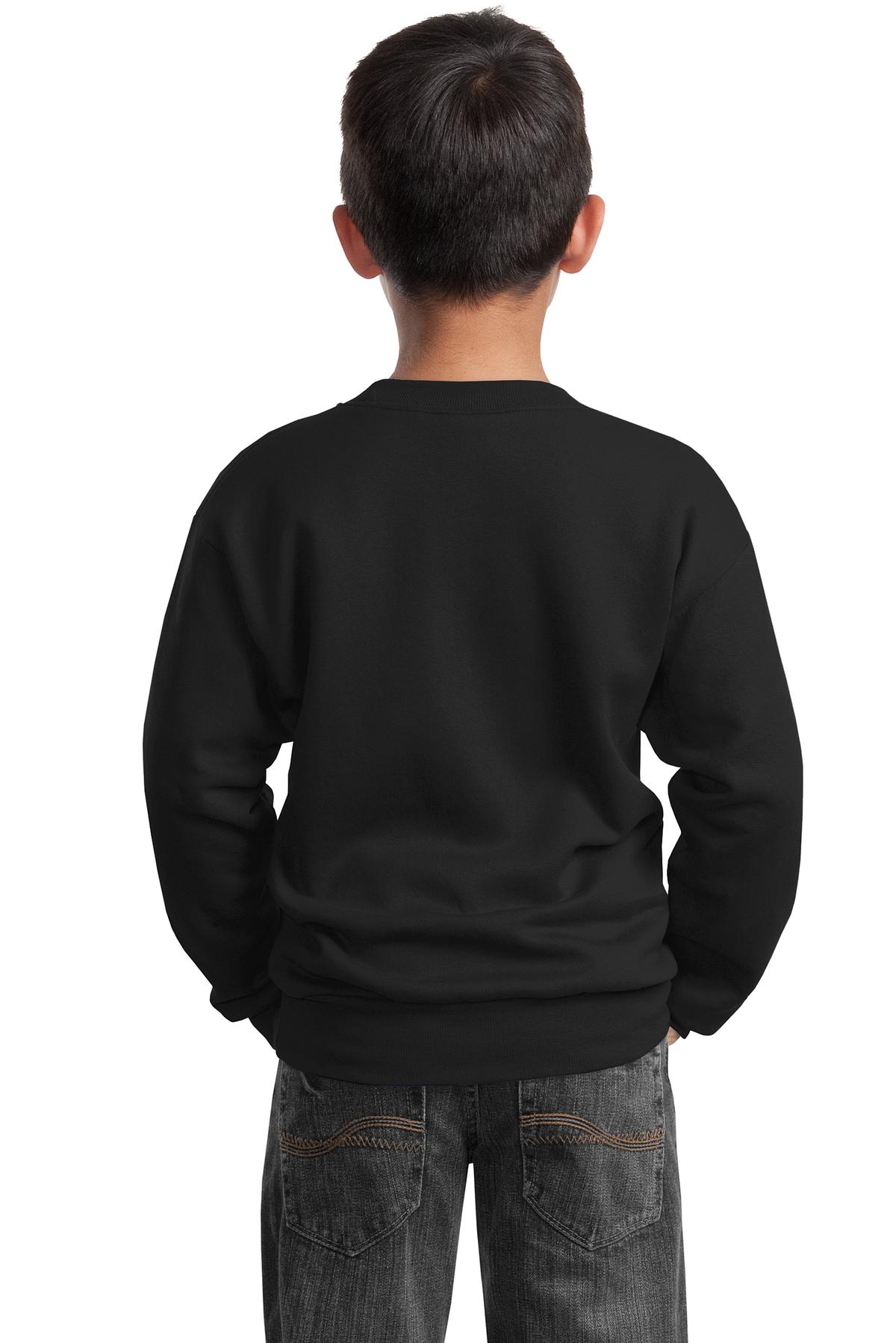 PC90Y Port & Company - Youth Core Fleece Crewneck Sweatshirt. - Back Image