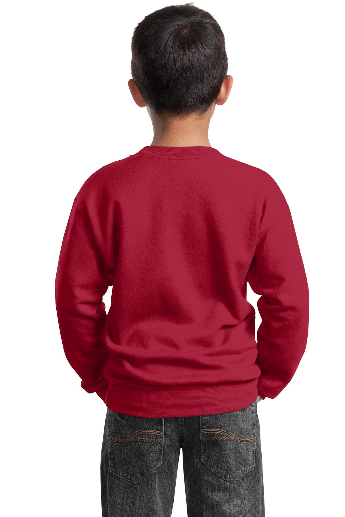 PC90Y Port & Company - Youth Core Fleece Crewneck Sweatshirt. - Back Image