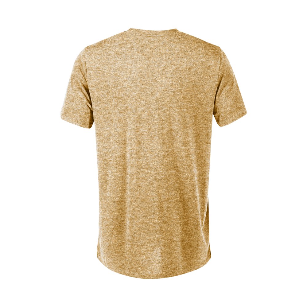 P602T Platinum Adult Tri-Blend Short Sleeve V-Neck Tee - Back Image