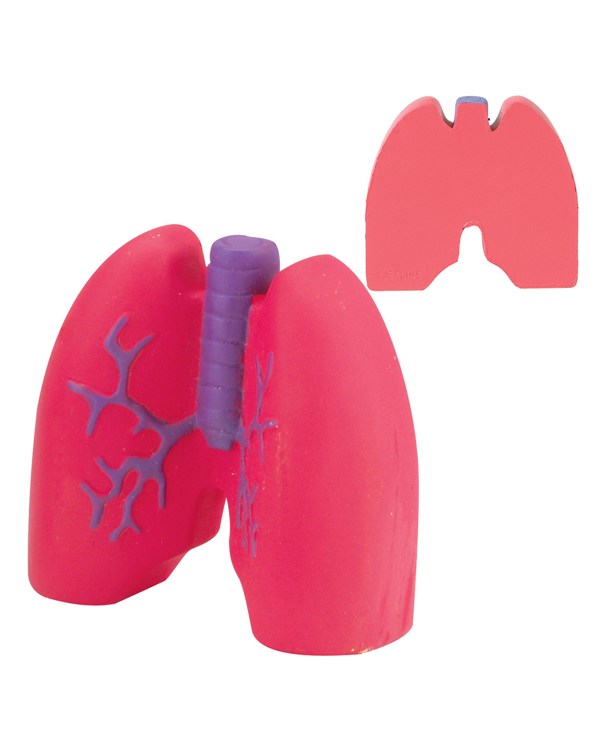 SB670 Prime Line Lungs Stress Reliever SB670 Prime Line Lungs Stress Reliever