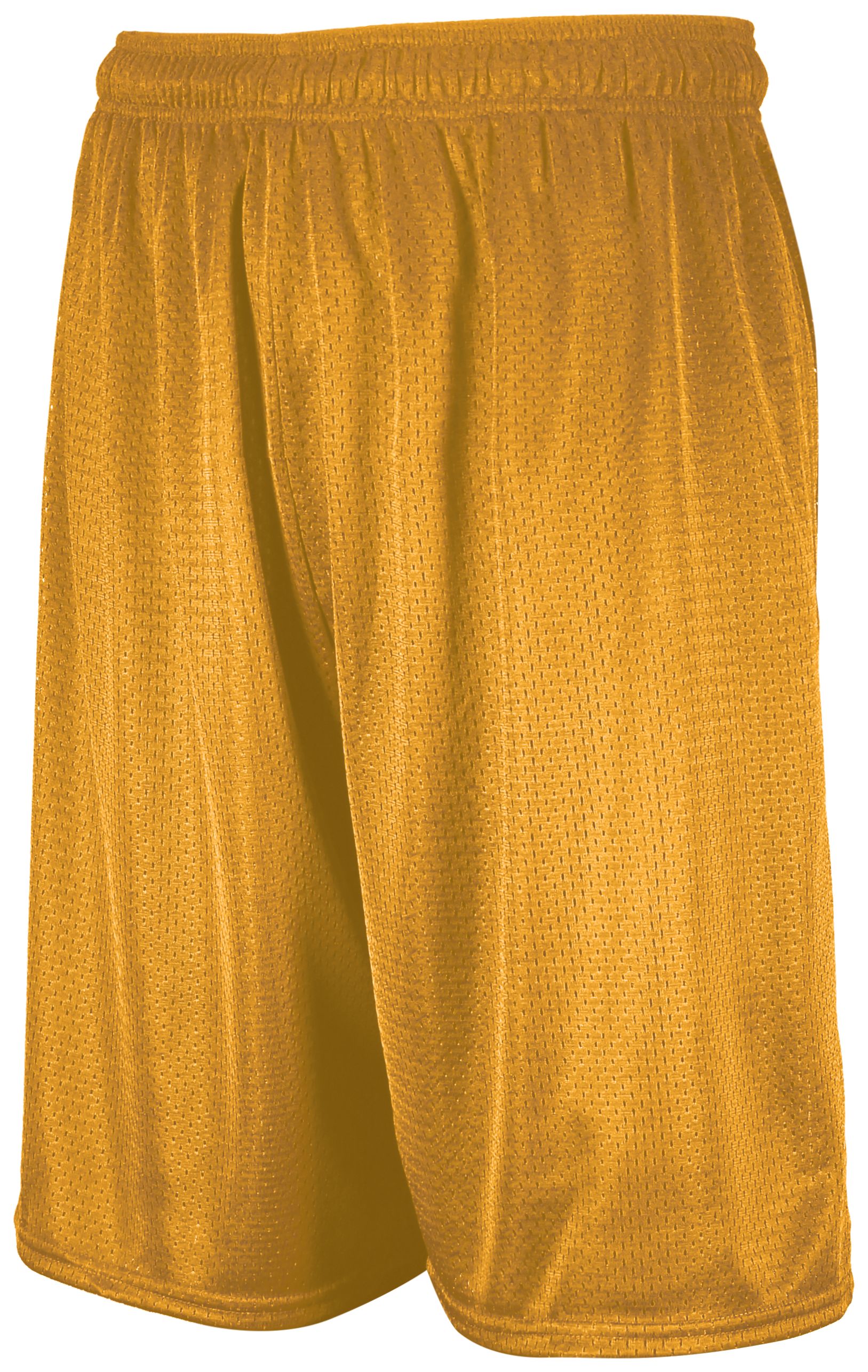 659AFM Russell Athletic Dri-PowerA Mesh Shorts Zoom Image