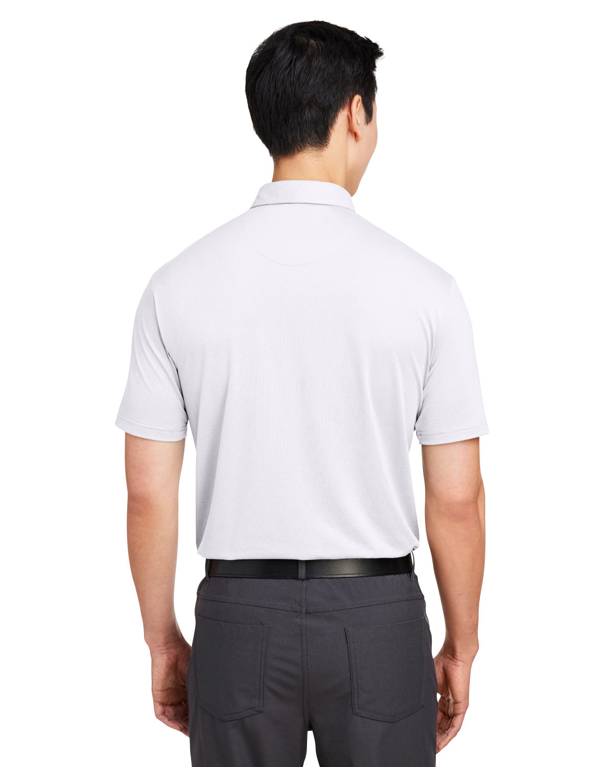 SW2000 Swannies Golf Mens James Polo - Back Image