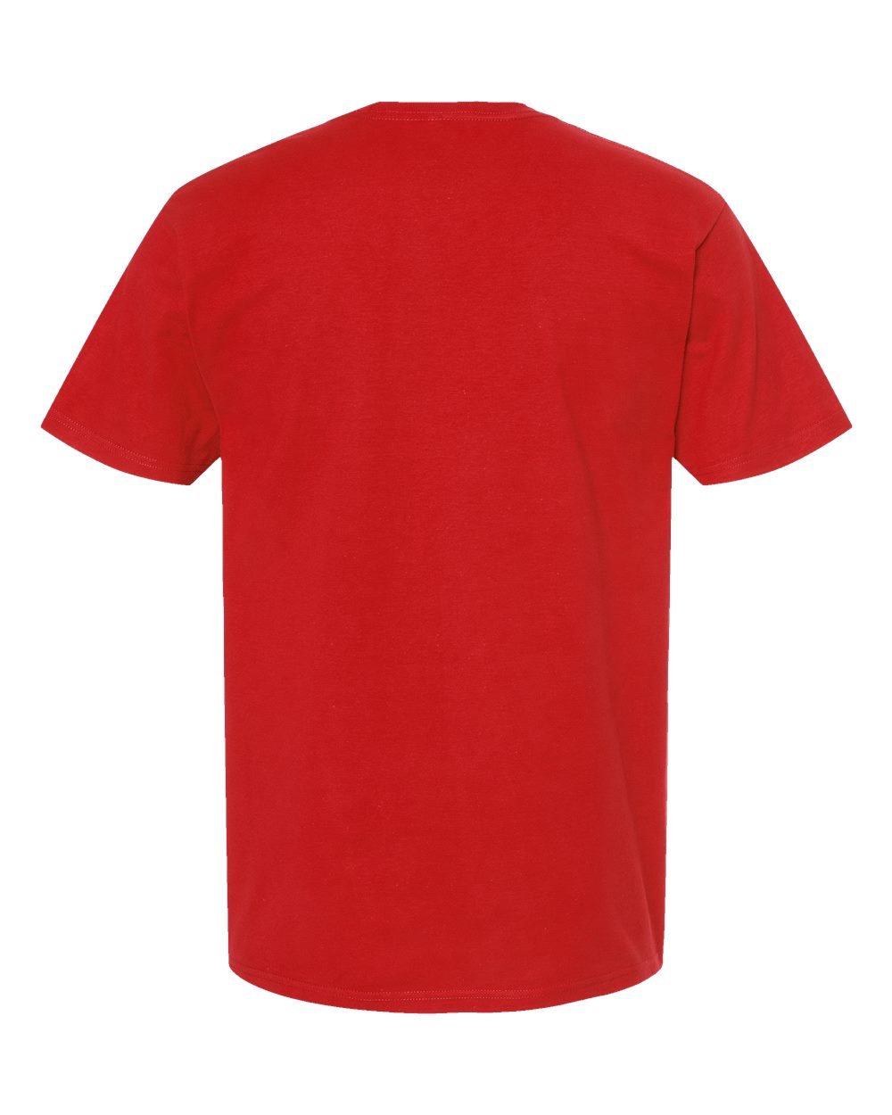290 Tultex Heavyweight Jersey T-Shirt - Back Image